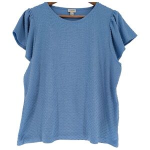 J. Crew Boxy Blue Flare Sleeve Casual Summer Boho Normcore Cottagecore Top‎ Sz L